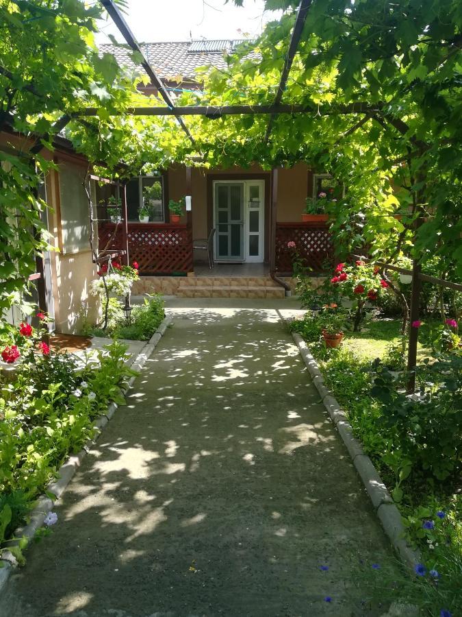 Casa Badea Murighiol Exterior foto