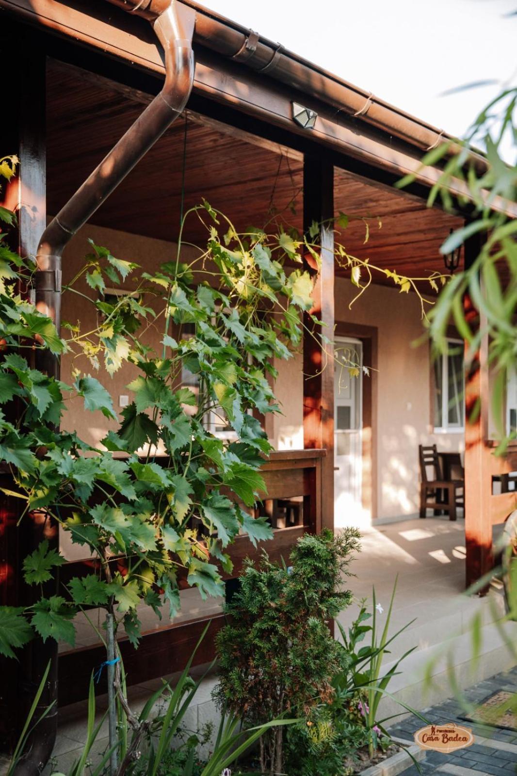 Casa Badea Murighiol Exterior foto